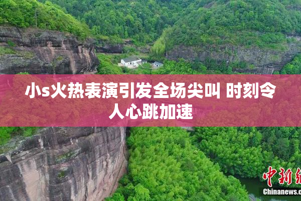 小s火热表演引发全场尖叫 时刻令人心跳加速