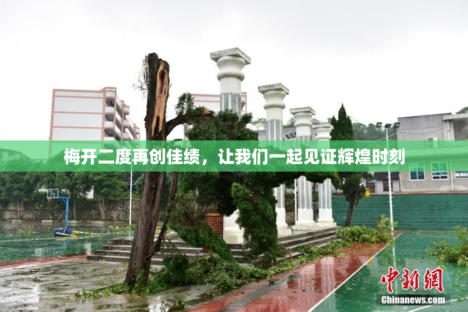 梅开二度再创佳绩，让我们一起见证辉煌时刻