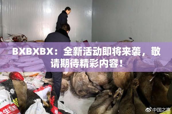 BXBXBX：全新活动即将来袭，敬请期待精彩内容！