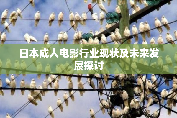 日本成人电影行业现状及未来发展探讨