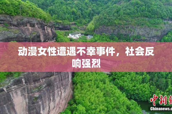 动漫女性遭遇不幸事件，社会反响强烈