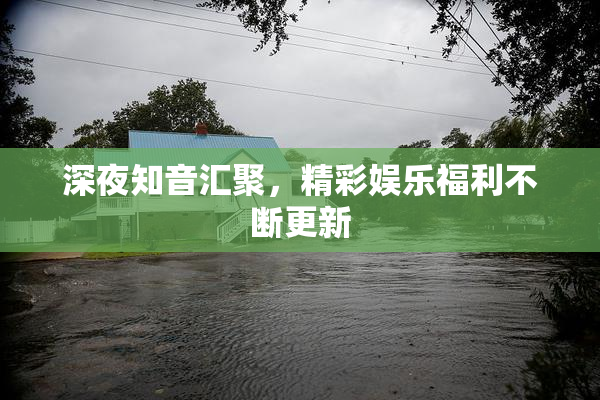 深夜知音汇聚，精彩娱乐福利不断更新