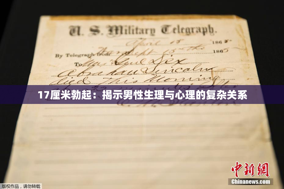 17厘米勃起：揭示男性生理与心理的复杂关系