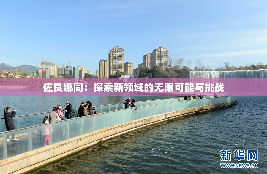 佐良娜同：探索新领域的无限可能与挑战