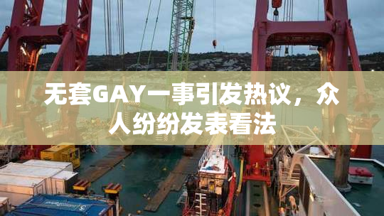 无套GAY一事引发热议，众人纷纷发表看法