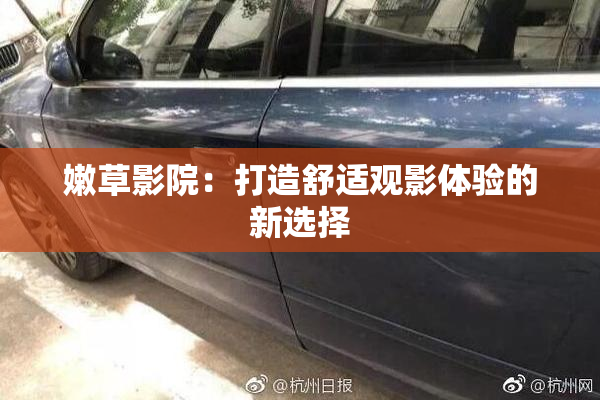 嫩草影院：打造舒适观影体验的新选择