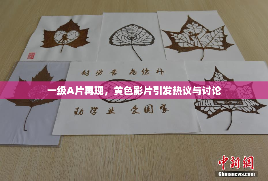 一级A片再现，黄色影片引发热议与讨论