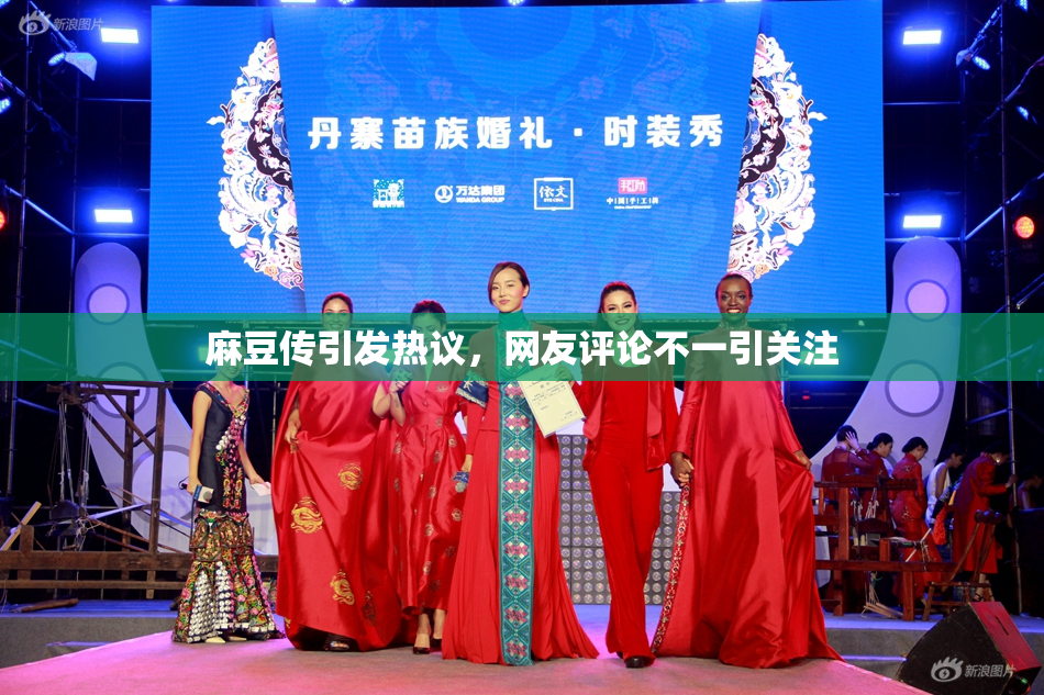 麻豆传引发热议，网友评论不一引关注