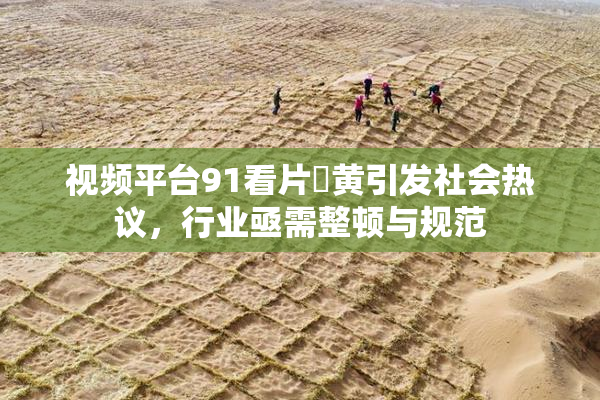 视频平台91看片婬黄引发社会热议，行业亟需整顿与规范
