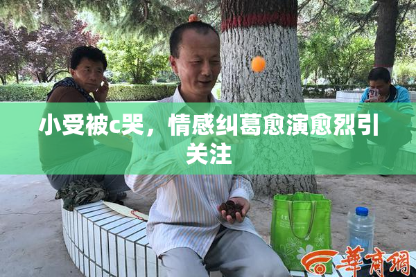小受被c哭，情感纠葛愈演愈烈引关注