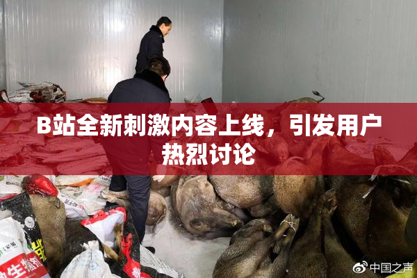 B站全新刺激内容上线，引发用户热烈讨论