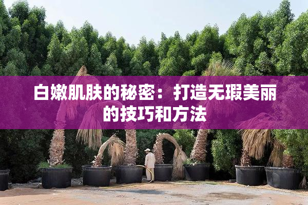 白嫩肌肤的秘密：打造无瑕美丽的技巧和方法