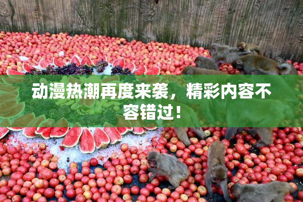 动漫热潮再度来袭，精彩内容不容错过！