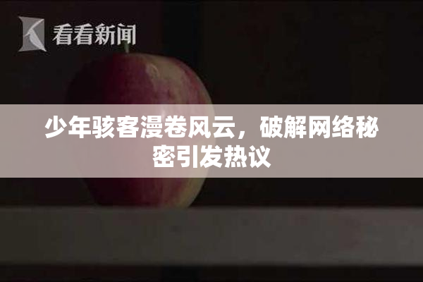 少年骇客漫卷风云，破解网络秘密引发热议