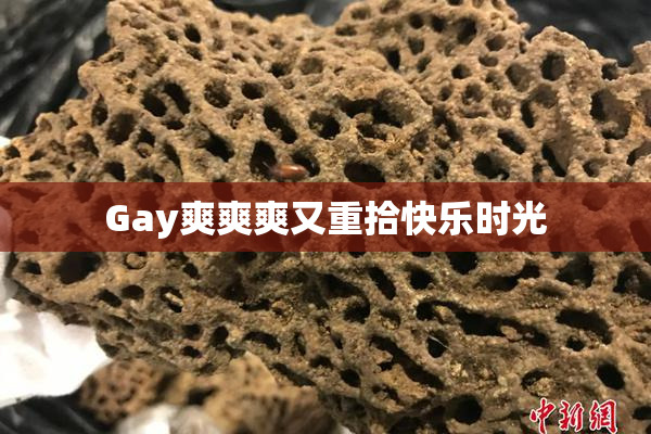 Gay爽爽爽又重拾快乐时光