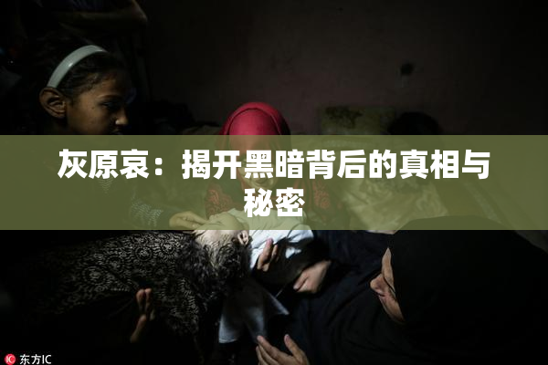 灰原哀：揭开黑暗背后的真相与秘密