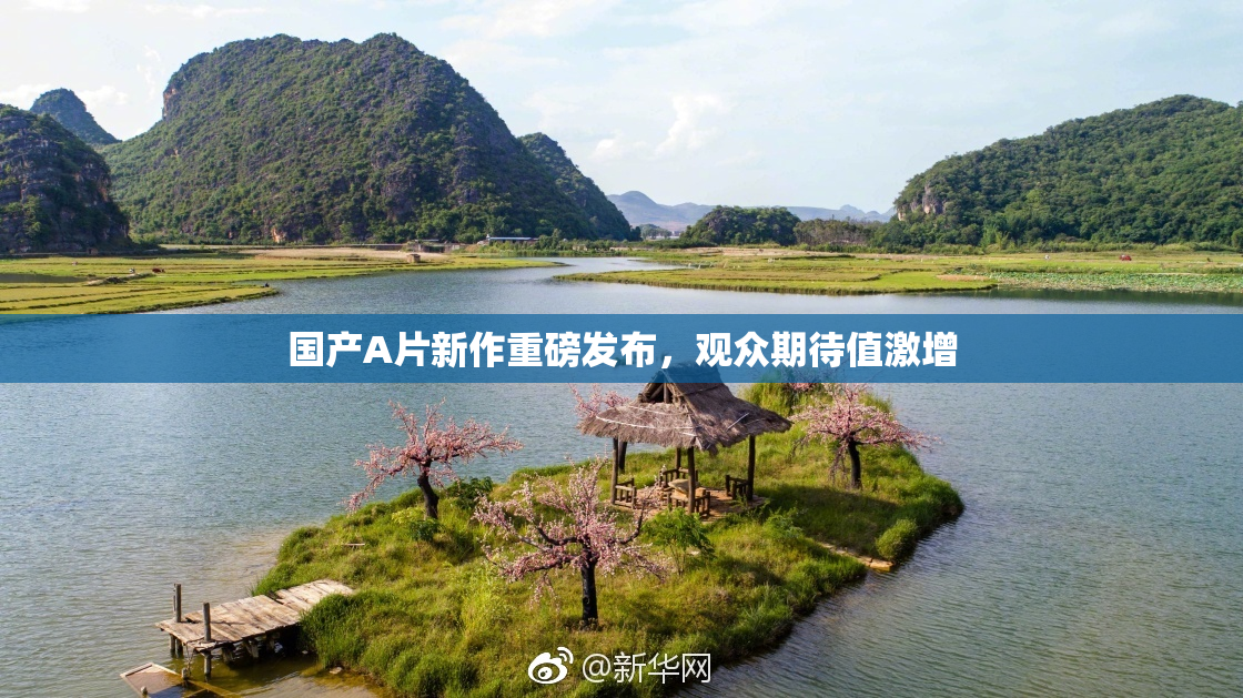 国产A片新作重磅发布，观众期待值激增