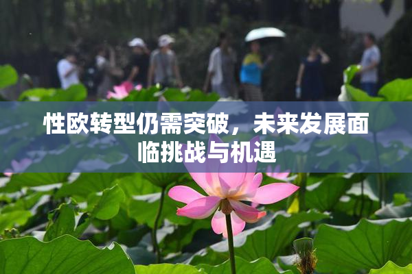 性欧转型仍需突破，未来发展面临挑战与机遇