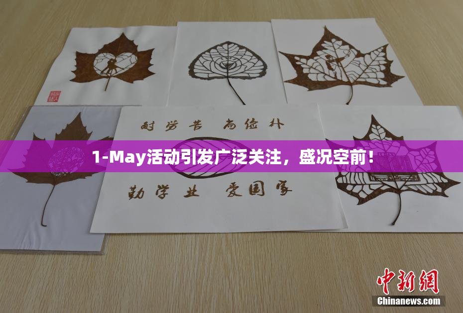 1-May活动引发广泛关注，盛况空前！