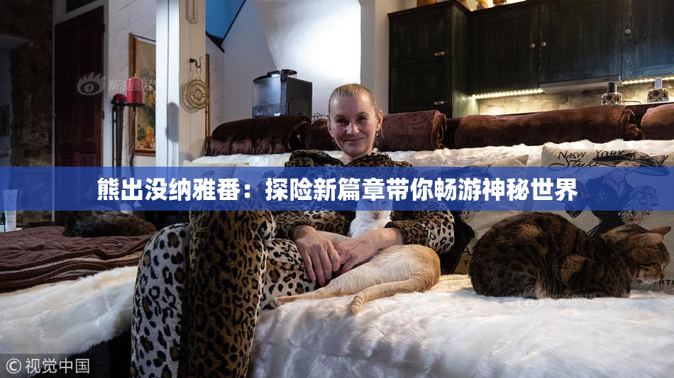 熊出没纳雅番：探险新篇章带你畅游神秘世界