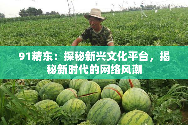 91精东：探秘新兴文化平台，揭秘新时代的网络风潮