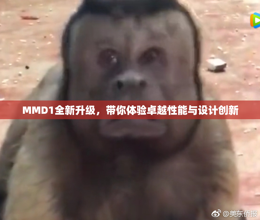 MMD1全新升级，带你体验卓越性能与设计创新
