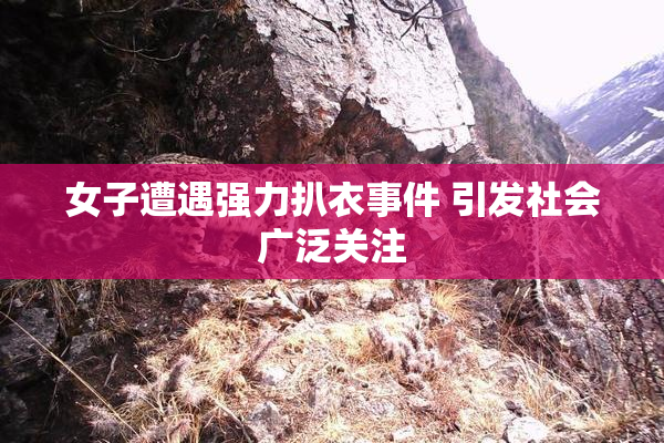 女子遭遇强力扒衣事件 引发社会广泛关注
