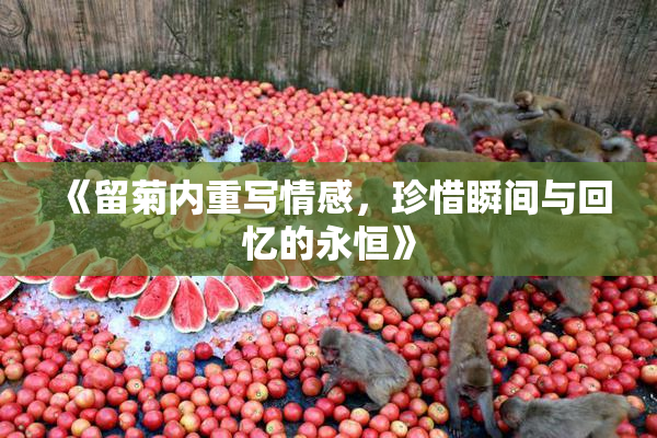 《留菊内重写情感，珍惜瞬间与回忆的永恒》