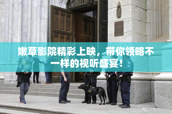 嫩草影院精彩上映，带你领略不一样的视听盛宴！