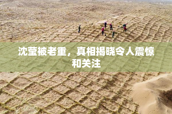 沈莹被老重，真相揭晓令人震惊和关注