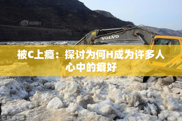 被C上瘾：探讨为何H成为许多人心中的癖好