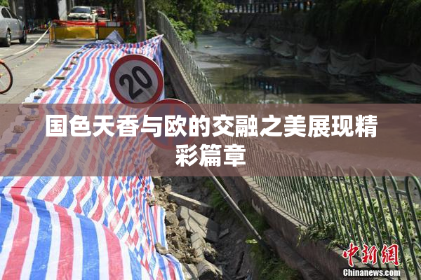 国色天香与欧的交融之美展现精彩篇章