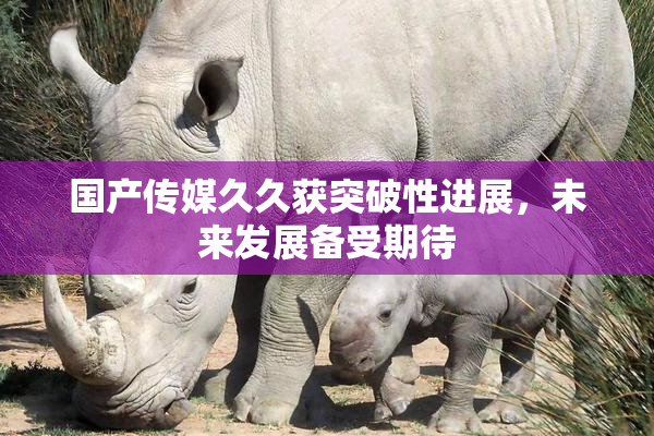 国产传媒久久获突破性进展，未来发展备受期待