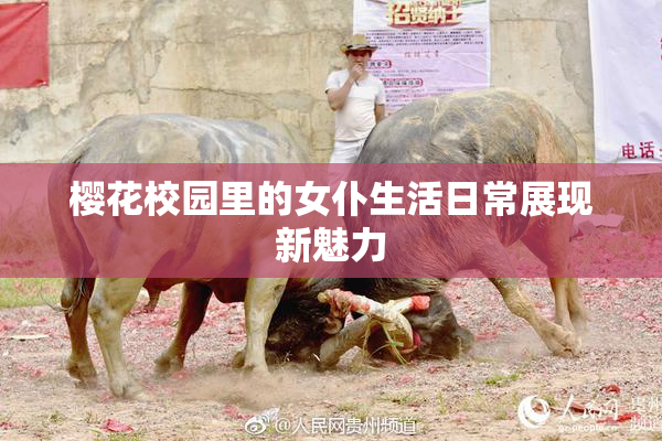 樱花校园里的女仆生活日常展现新魅力