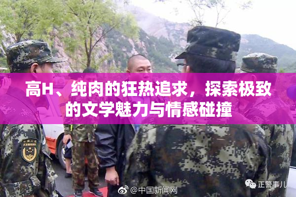 高H、纯肉的狂热追求，探索极致的文学魅力与情感碰撞