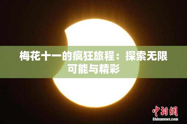 梅花十一的疯狂旅程：探索无限可能与精彩