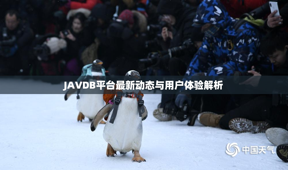 JAVDB平台最新动态与用户体验解析