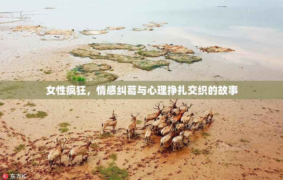 女性疯狂，情感纠葛与心理挣扎交织的故事