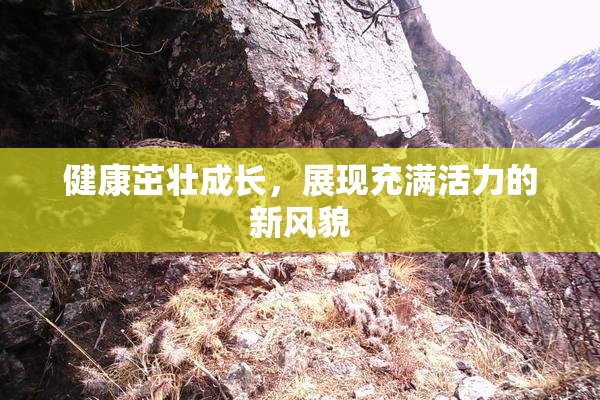 健康茁壮成长，展现充满活力的新风貌