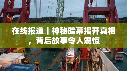 在线报道丨神秘暗幕揭开真相，背后故事令人震惊