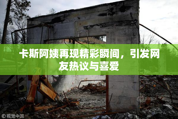 卡斯阿姨再现精彩瞬间，引发网友热议与喜爱