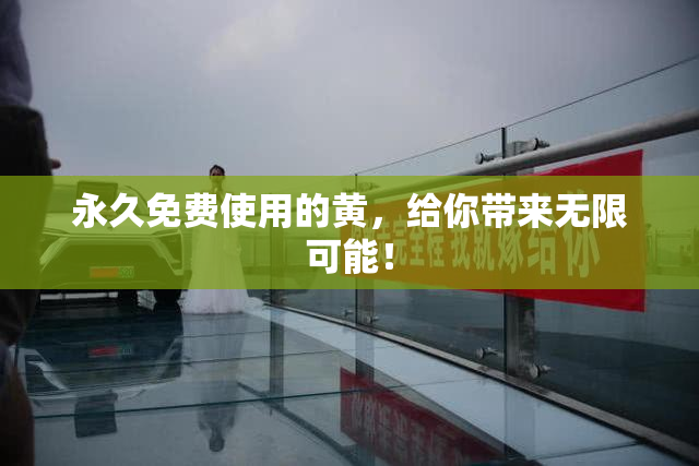 永久免费使用的黄，给你带来无限可能！
