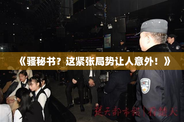 《骚秘书？这紧张局势让人意外！》