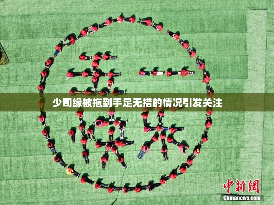 少司缘被拖到手足无措的情况引发关注