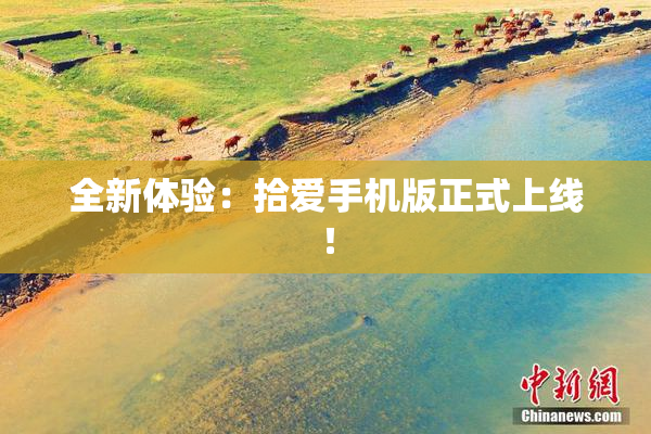 全新体验：拾爱手机版正式上线！
