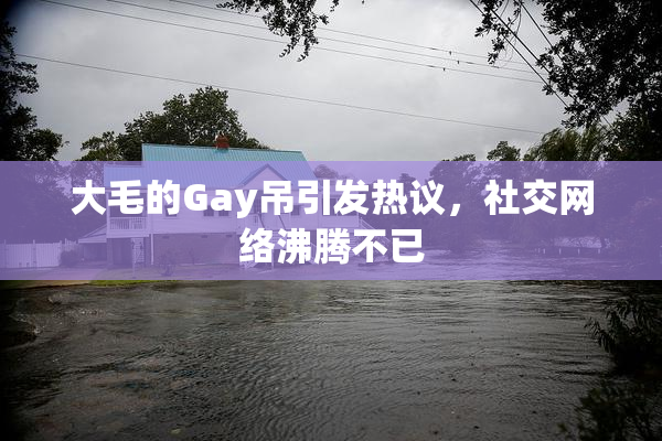 大毛的Gay吊引发热议，社交网络沸腾不已