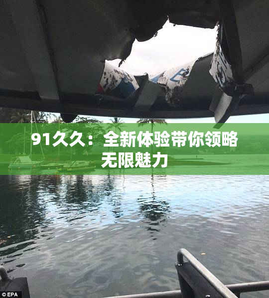 91久久：全新体验带你领略无限魅力