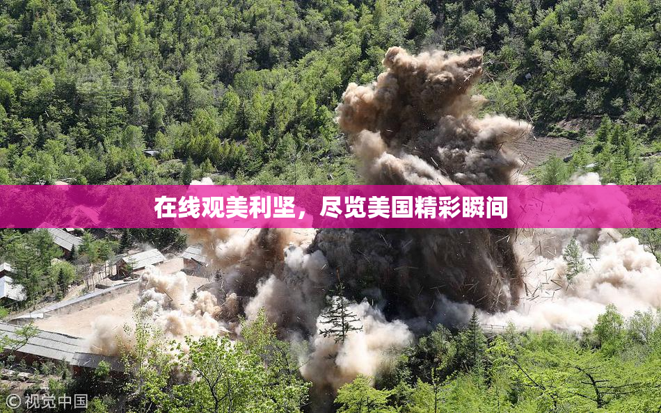 在线观美利坚，尽览美国精彩瞬间