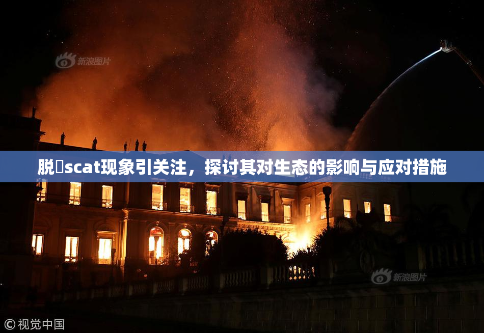 脱糞scat现象引关注，探讨其对生态的影响与应对措施