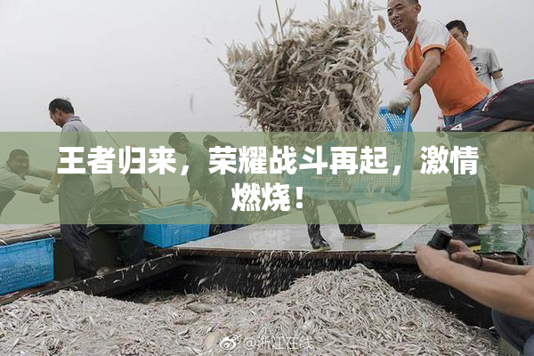 王者归来，荣耀战斗再起，激情燃烧！